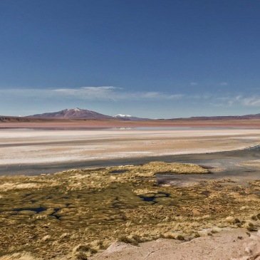 Salar-de-Tara-Atacama-Chile